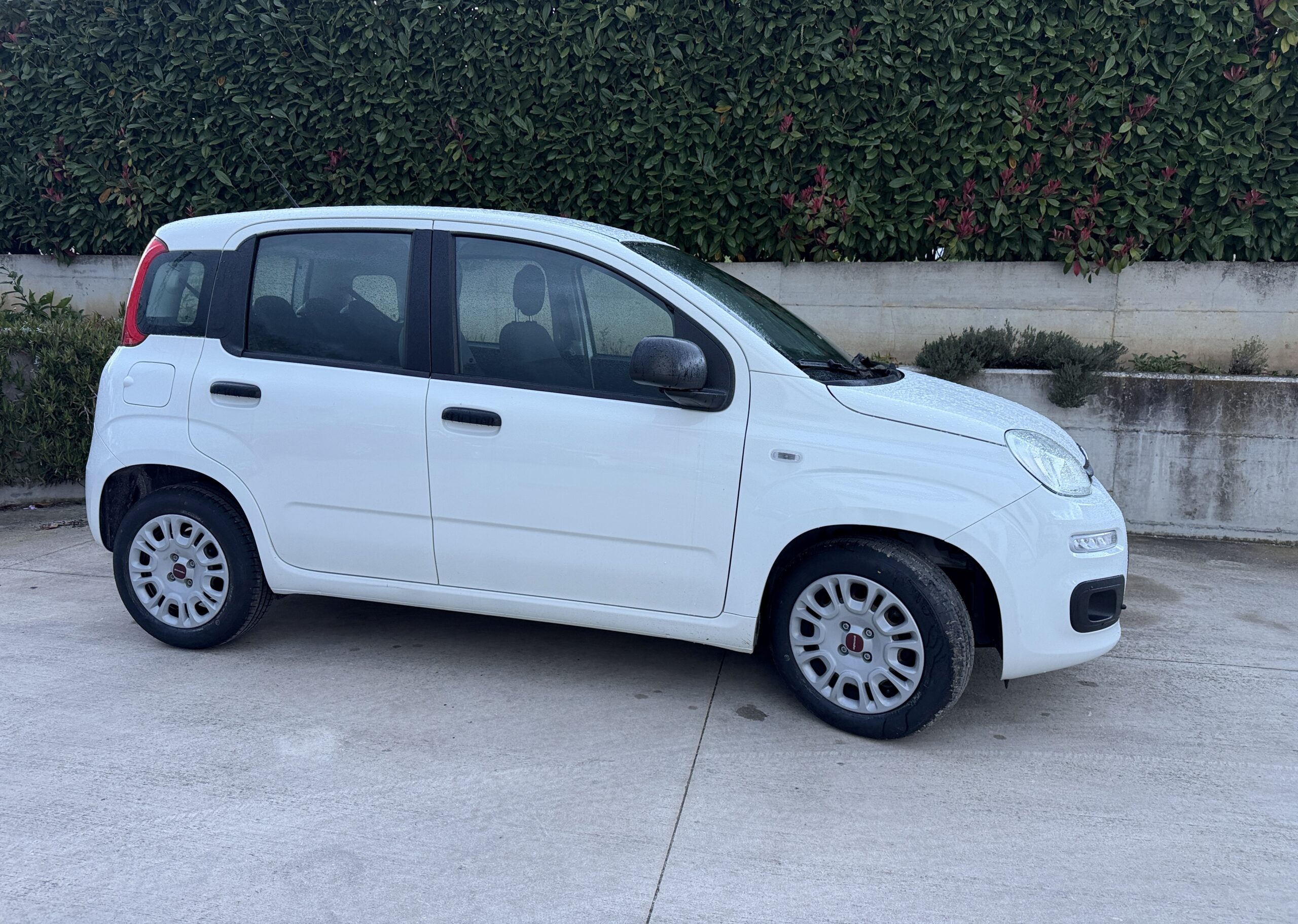 Fiat New Panda 1.2 cv 70 Lounge. Euro 6B
