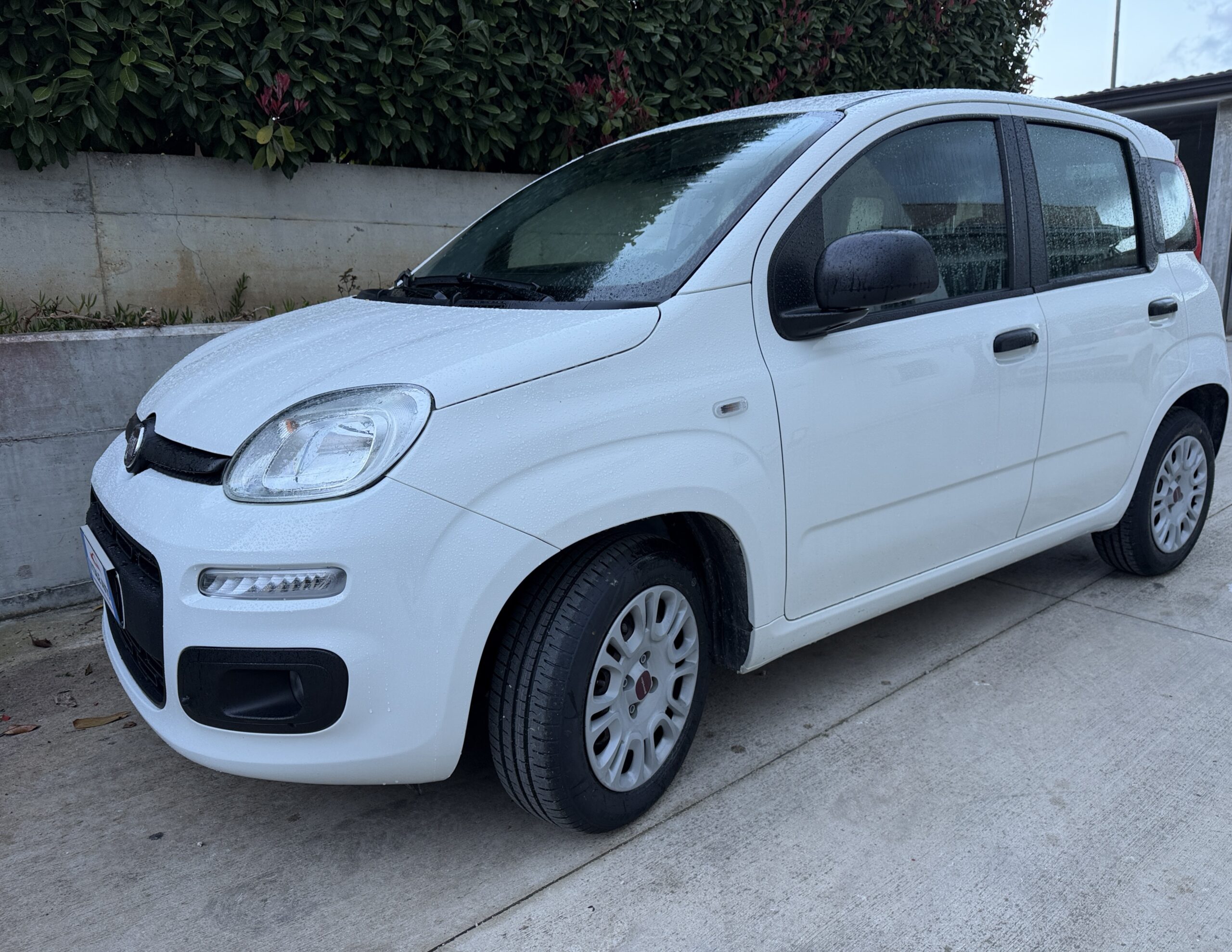 
								Fiat New Panda 1.2 cv 70 Lounge. Euro 6B completo									