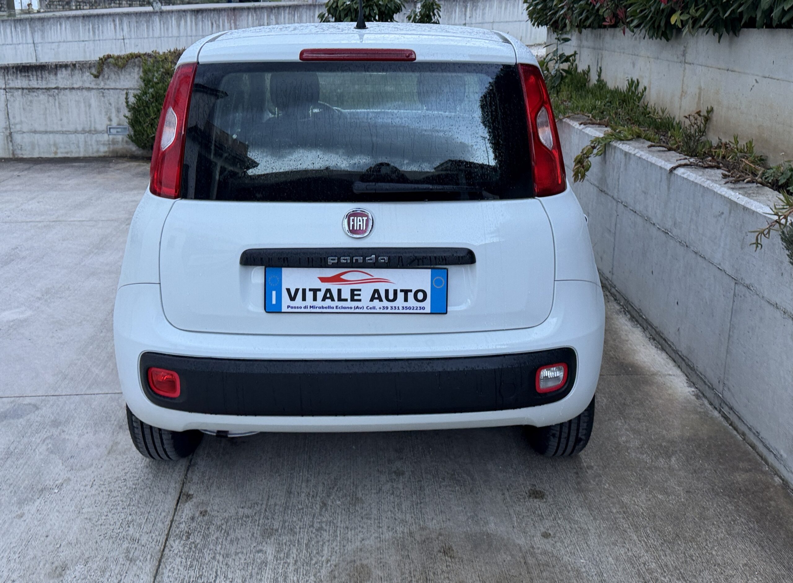 
								Fiat New Panda 1.2 cv 70 Lounge. Euro 6B completo									