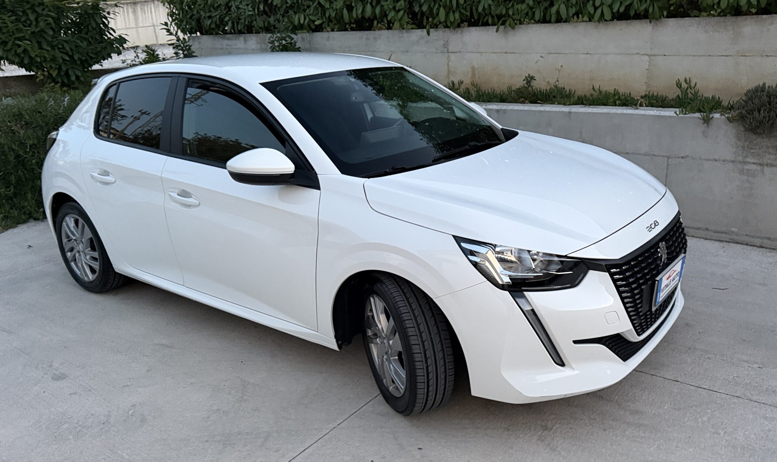 
								Peugeot 208 1.2 Pure Tech Active S&S 75CV Euro 6D completo									