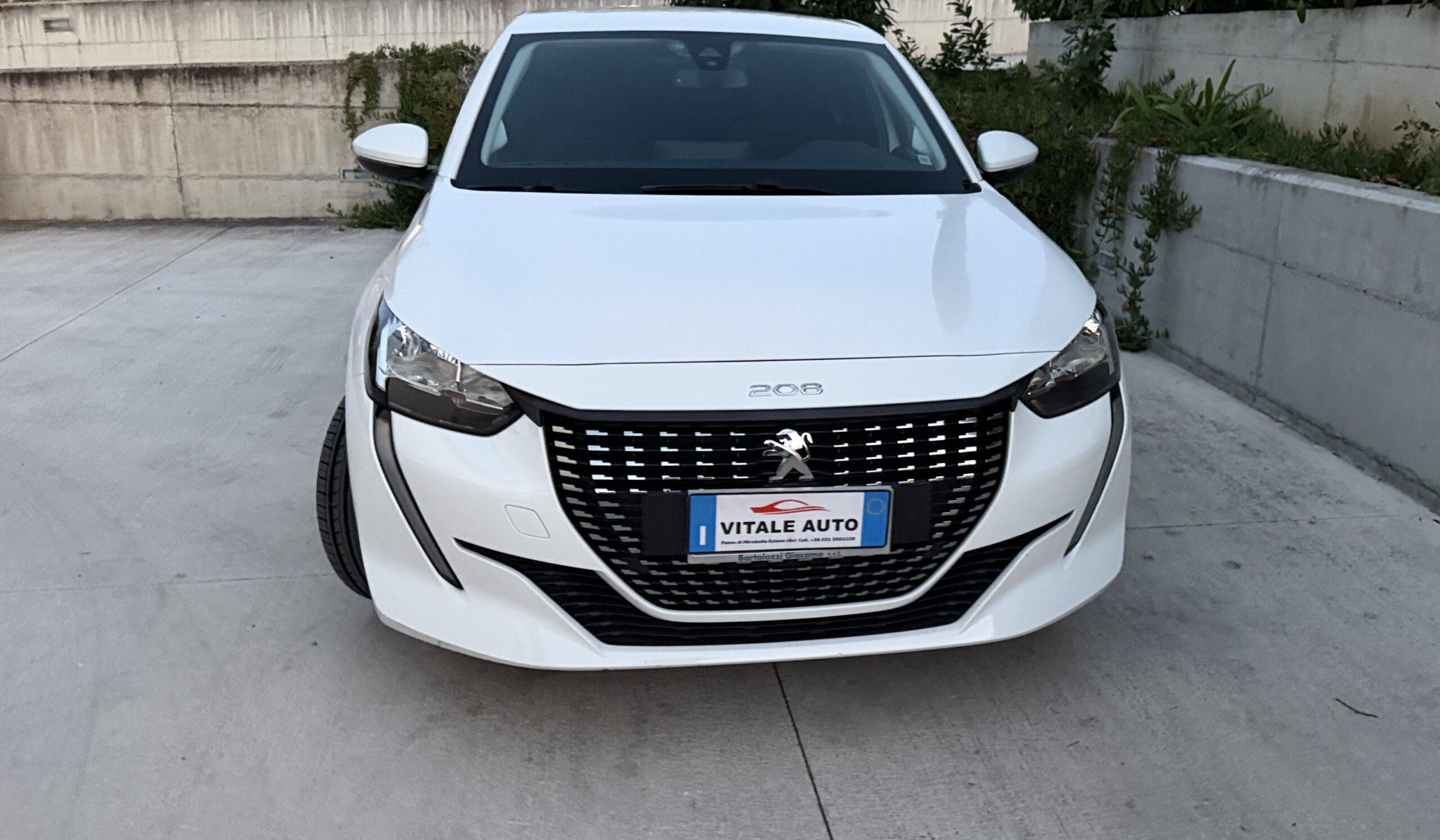 
								Peugeot 208 1.2 Pure Tech Active S&S 75CV Euro 6D completo									